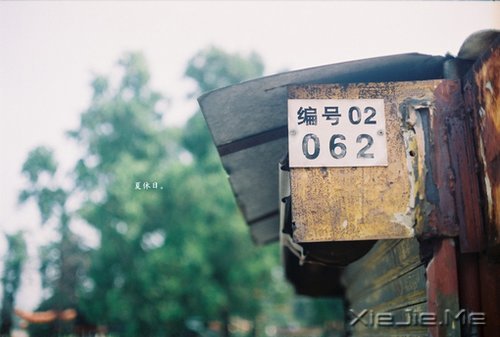 晚安心语：成熟的一面是给外人看的，幼稚的一面是给爱人看的 (12)