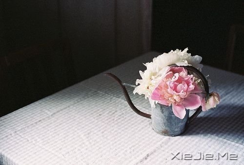 晚安心语：你比自己想象中要坚强 (3)