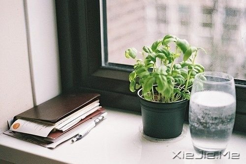 晚安心语：你比自己想象中要坚强 (7)