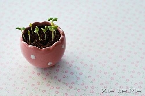 晚安心语：做最坏打算，持最好心态 (3)