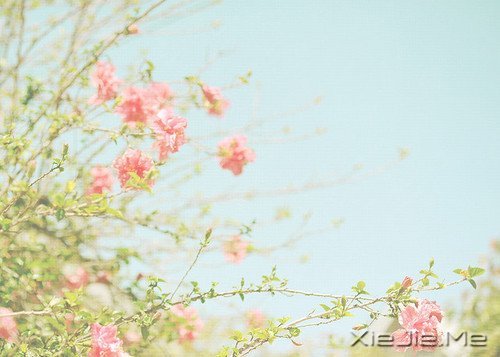 林清玄：人间有味是清欢