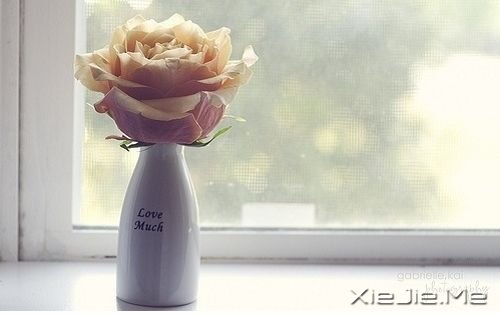 当你还有青春的时候，别悔恨青春
